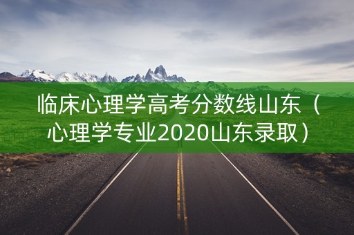 临床心理学高考分数线山东（心理学专业2020山东录取）