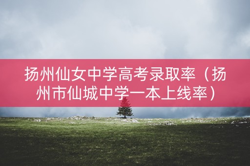 扬州仙女中学高考录取率(扬州市仙城中学一本上线率) 扬州仙女中学高考录取率(扬州市仙城中学一本上线率)