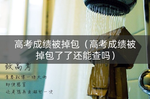 高考成绩被掉包（高考成绩被掉包了了还能查吗）