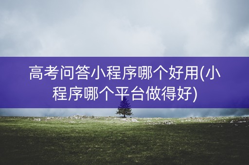 高考问答小程序哪个好用(小程序哪个平台做得好)