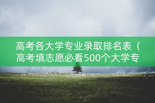 高考各大学专业录取排名表(高考填志愿必看500个大学专业详细解读) 高考各大学专业录取排名表(高考填志愿必看500个大学专业详细解读)