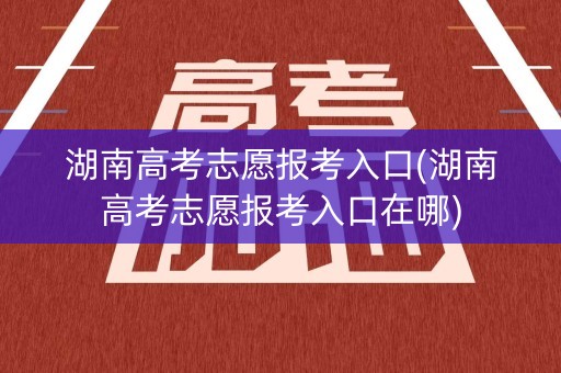 湖南高考志愿报考入口(湖南高考志愿报考入口在哪)