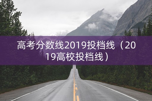 高考分数线2019投档线（2019高校投档线）