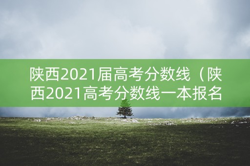 陕西2021届高考分数线（陕西2021高考分数线一本报名时间）