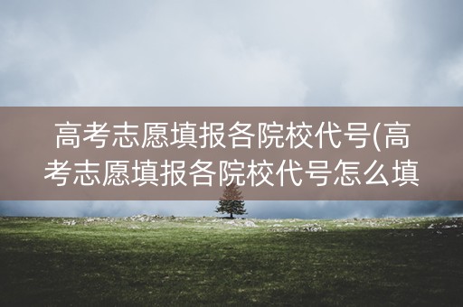 高考志愿填报各院校代号(高考志愿填报各院校代号怎么填) 高考志愿填报各院校代号(高考志愿填报各院校代号怎么填)