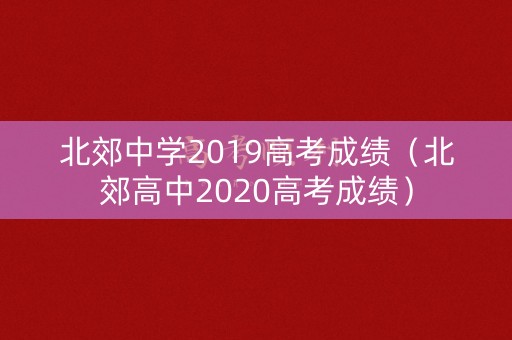 北郊中学2019高考成绩（北郊高中2020高考成绩）
