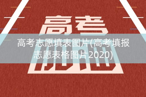 高考志愿填表图片(高考填报志愿表格图片2020)