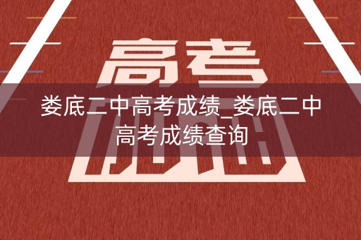 娄底二中高考成绩_娄底二中高考成绩查询