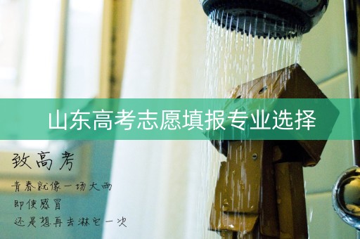 山东高考志愿填报专业选择