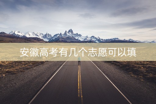 安徽高考有几个志愿可以填