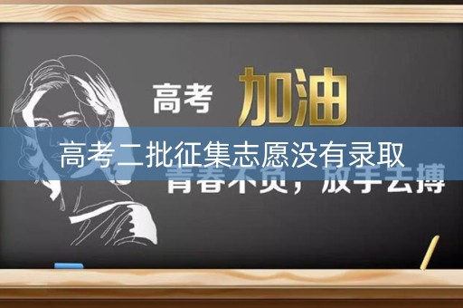 高考二批征集志愿没有录取