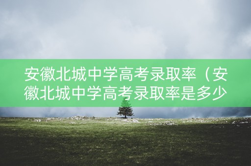 安徽北城中学高考录取率（安徽北城中学高考录取率是多少）