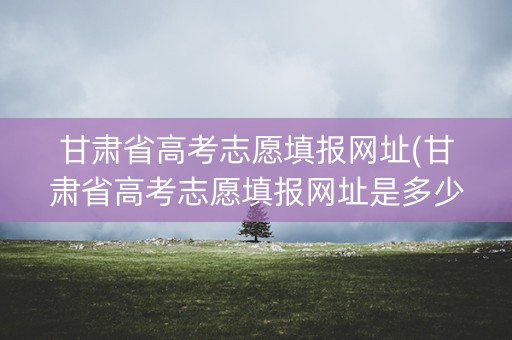 甘肃省高考志愿填报网址(甘肃省高考志愿填报网址是多少)