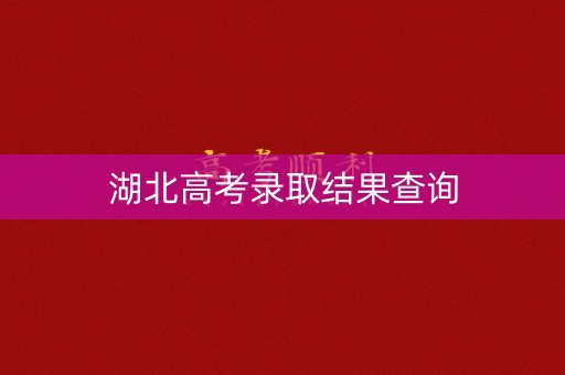 湖北高考录取结果查询