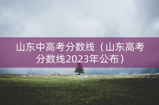 山东中高考分数线（山东高考分数线2023年公布）