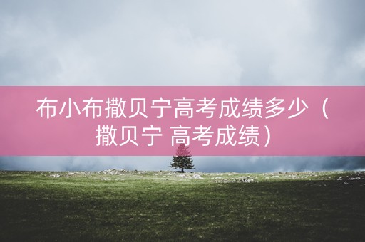 布小布撒贝宁高考成绩多少（撒贝宁 高考成绩）