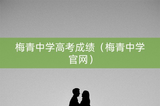梅青中学高考成绩（梅青中学官网）