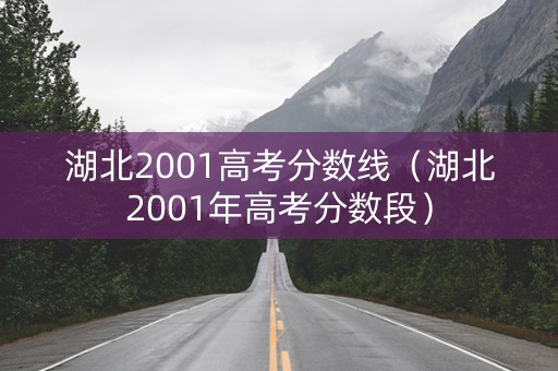 湖北2001高考分数线（湖北2001年高考分数段）