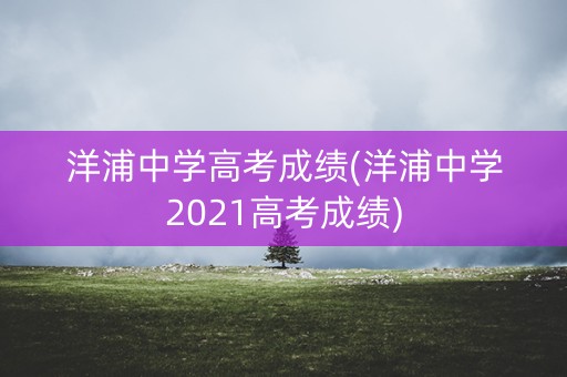 洋浦中学高考成绩(洋浦中学2021高考成绩)
