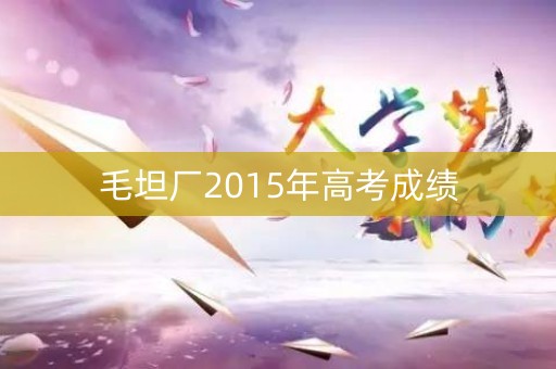毛坦厂2015年高考成绩