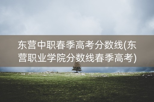 东营中职春季高考分数线(东营职业学院分数线春季高考)