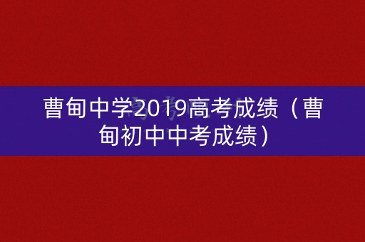 曹甸中学2019高考成绩（曹甸初中中考成绩）