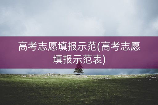 高考志愿填报示范(高考志愿填报示范表) 高考志愿填报示范(高考志愿填报示范表)