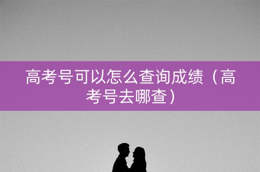 高考号可以怎么查询成绩(高考号去哪查) 高考号可以怎么查询成绩(高考号去哪查)