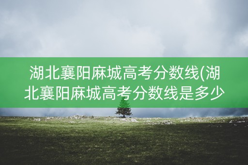 湖北襄阳麻城高考分数线(湖北襄阳麻城高考分数线是多少)