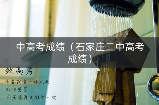 中高考成绩(石家庄二中高考成绩) 中高考成绩(石家庄二中高考成绩)