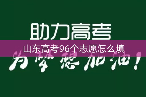 山东高考96个志愿怎么填
