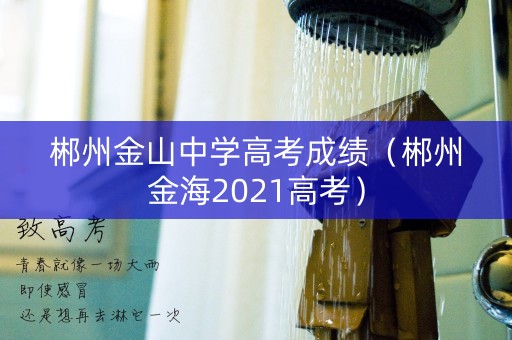 郴州金山中学高考成绩（郴州金海2021高考）