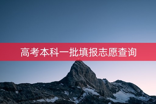 高考本科一批填报志愿查询