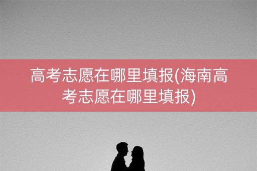 高考志愿在哪里填报(海南高考志愿在哪里填报)