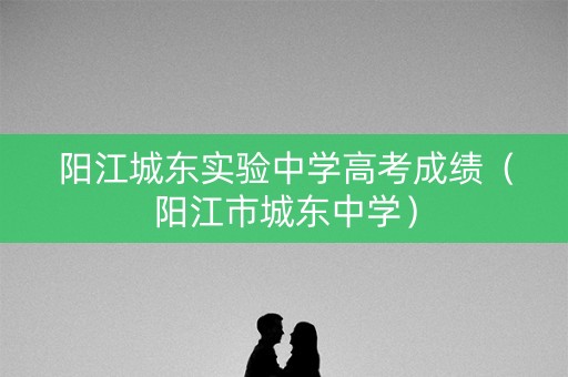 阳江城东实验中学高考成绩（阳江市城东中学）