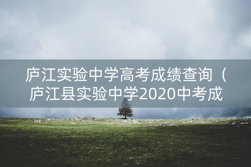 庐江实验中学高考成绩查询（庐江县实验中学2020中考成绩单）