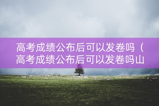 高考成绩公布后可以发卷吗（高考成绩公布后可以发卷吗山东）