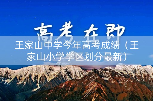 王家山中学今年高考成绩（王家山小学学区划分最新）