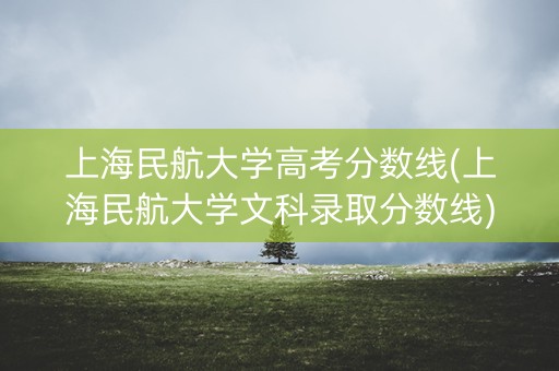 上海民航大学高考分数线(上海民航大学文科录取分数线) 上海民航大学高考分数线(上海民航大学文科录取分数线)