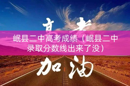 岷县二中高考成绩（岷县二中录取分数线出来了没）