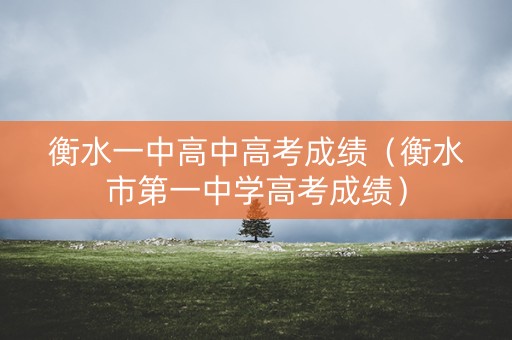 衡水一中高中高考成绩（衡水市第一中学高考成绩）