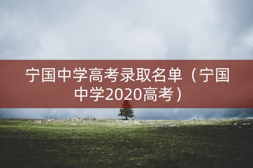 宁国中学高考录取名单（宁国中学2020高考）