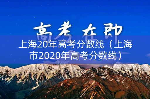 上海20年高考分数线（上海市2020年高考分数线）
