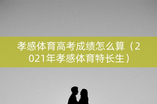 孝感体育高考成绩怎么算（2021年孝感体育特长生）