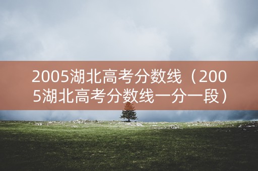 2005湖北高考分数线(2005湖北高考分数线一分一段) 2005湖北高考分数线(2005湖北高考分数线一分一段)