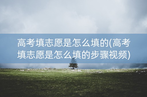 高考填志愿是怎么填的(高考填志愿是怎么填的步骤视频) 高考填志愿是怎么填的(高考填志愿是怎么填的步骤视频)