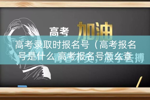 高考录取时报名号(高考报名号是什么 高考报名号怎么查询) 高考录取时报名号(高考报名号是什么 高考报名号怎么查询)