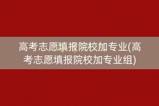 高考志愿填报院校加专业(高考志愿填报院校加专业组)
