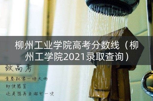 柳州工业学院高考分数线（柳州工学院2021录取查询）