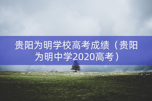 贵阳为明学校高考成绩（贵阳为明中学2020高考）